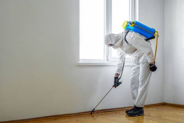 Professional Pest control in Franklin Park, PA